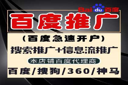 某电商平台的SEM服务全解析